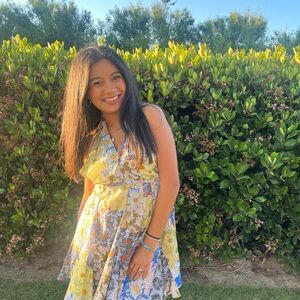 Zara Multicolor Floral Dress